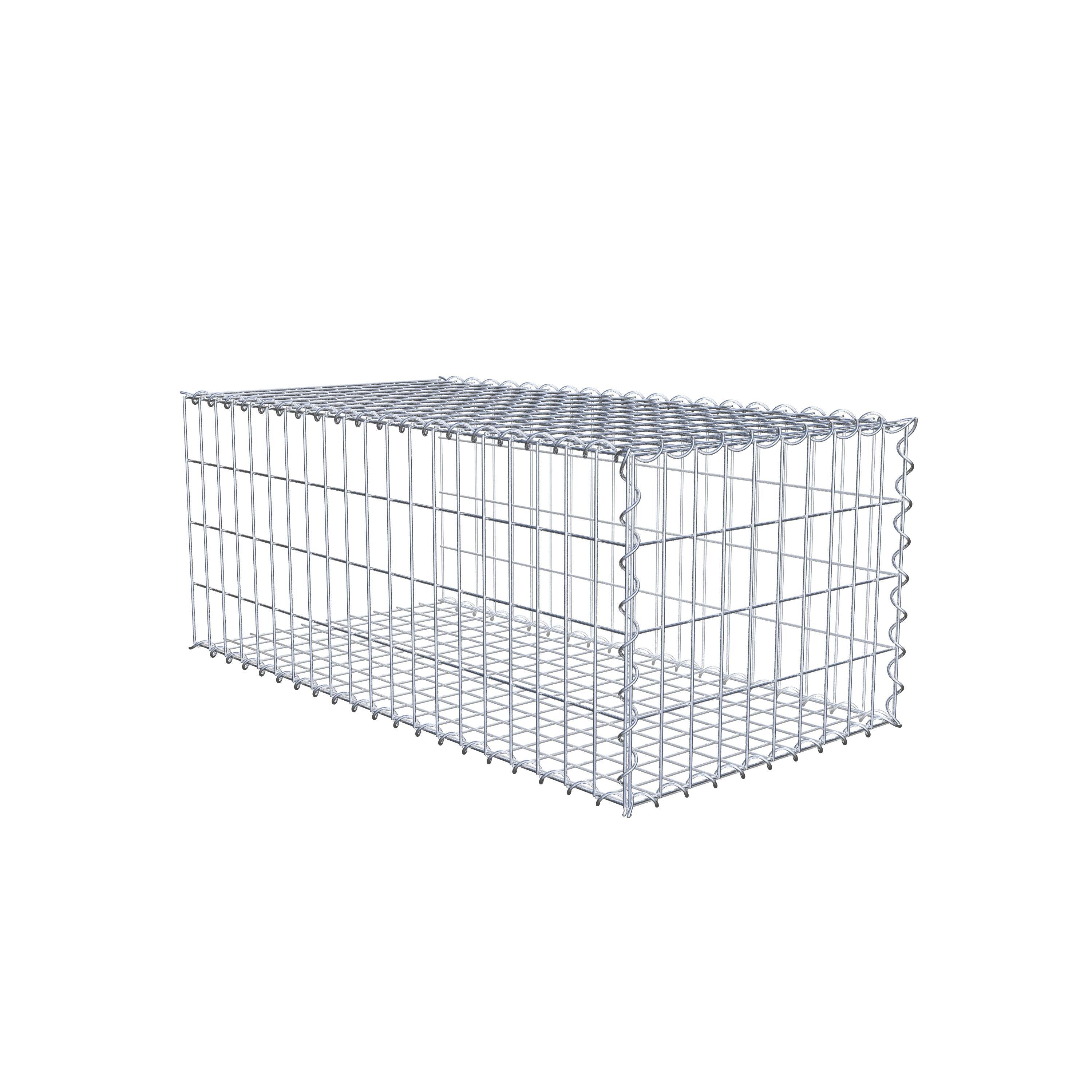 Opvokset gabion type 2 100 cm x 40 cm x 50 cm (L x H x D), maskestørrelse 5 cm x 10 cm, spiral