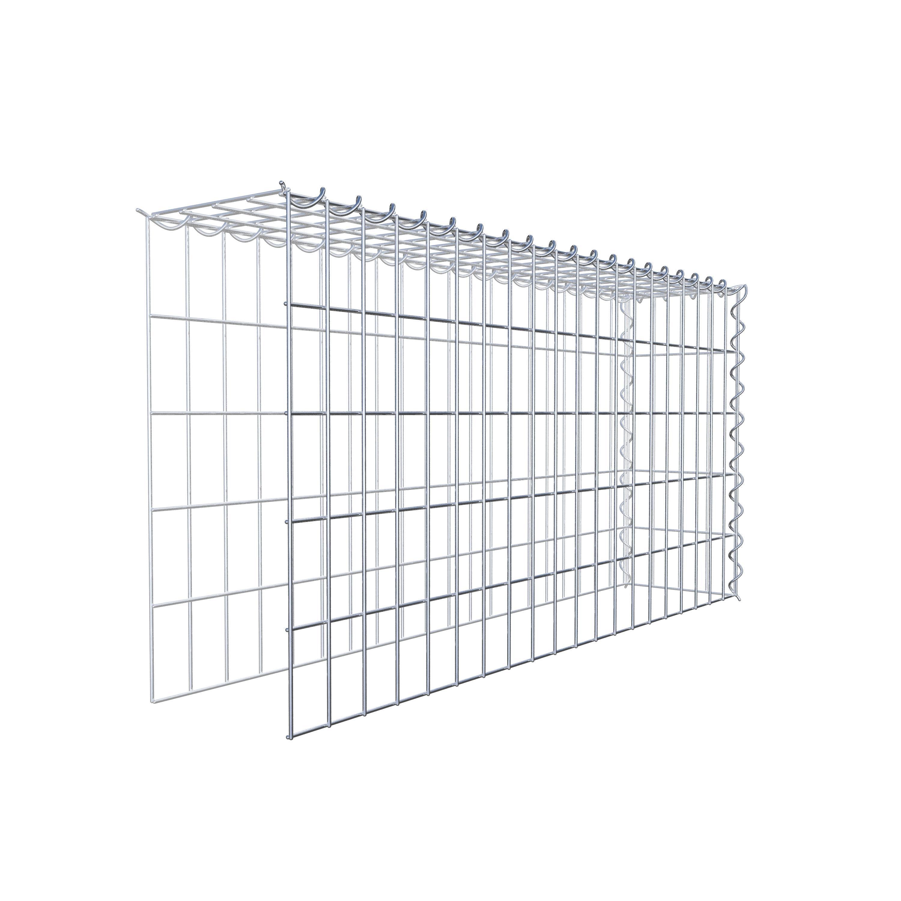 Grown-on gabion type 4 100 cm x 50 cm x 20 cm (L x H x D), mesh size 5 cm x 10 cm, spiral