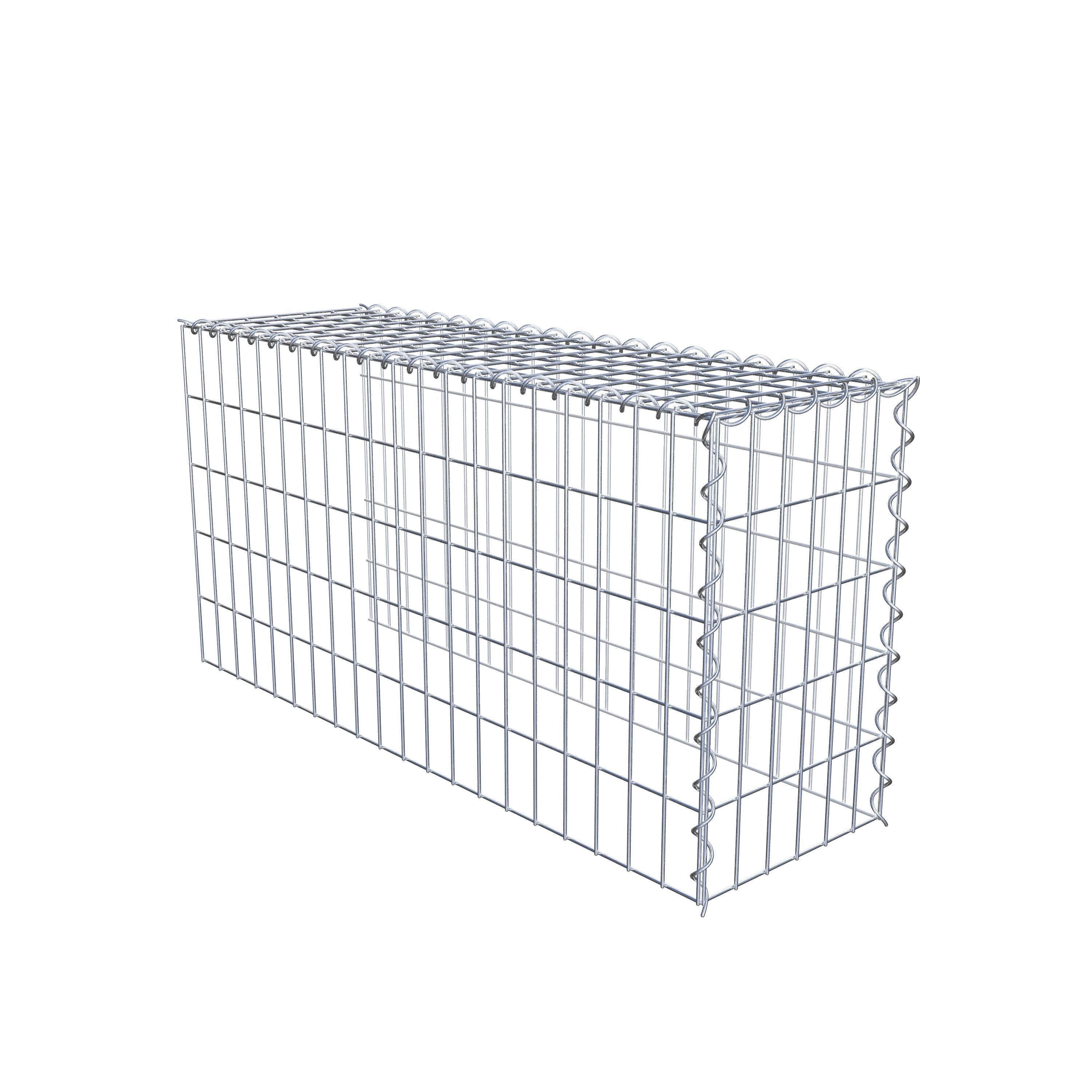 Grown-on gabion type 4 100 cm x 50 cm x 30 cm (L x H x D), mesh size 5 cm x 10 cm, spiral