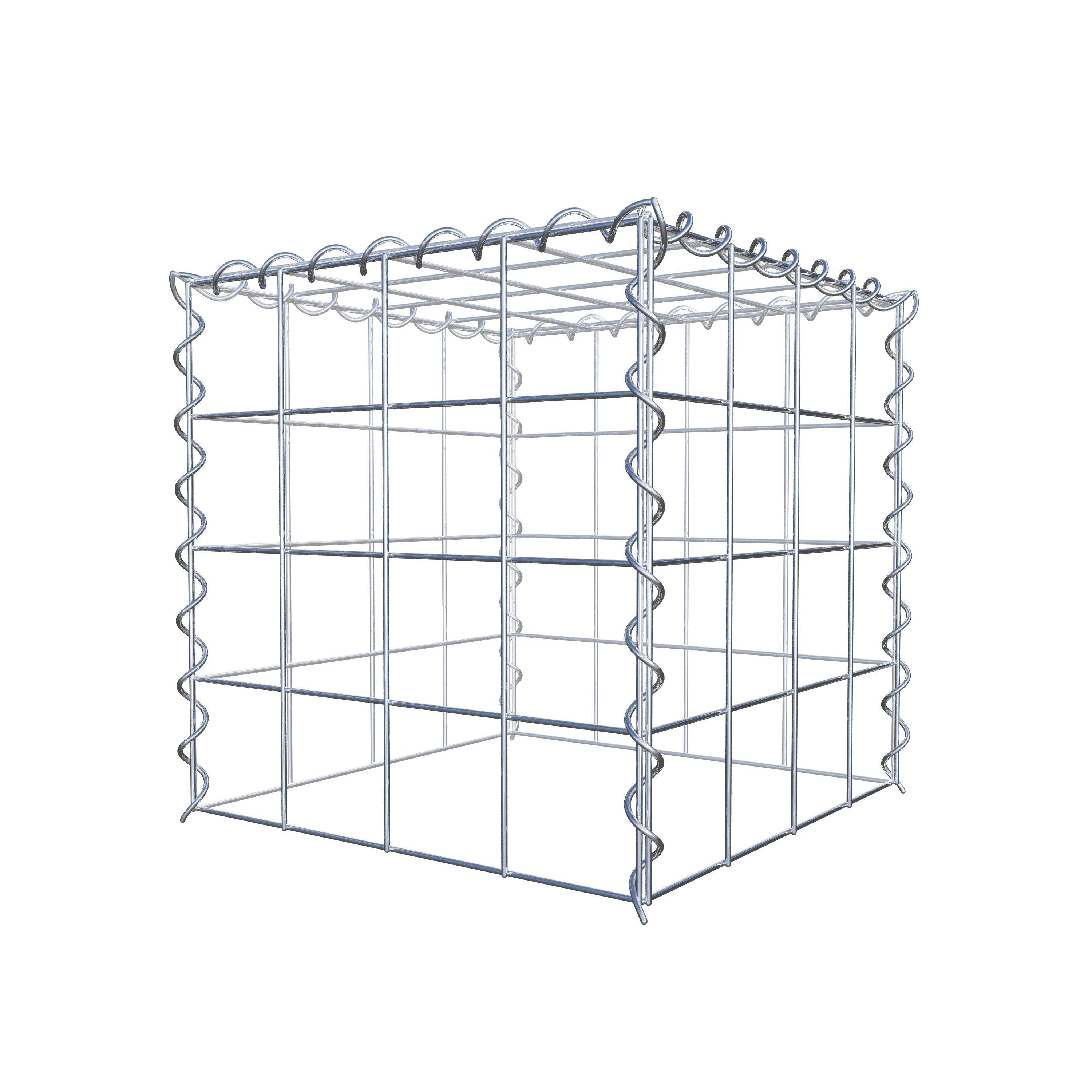 Grown-on gabion type 3 40 cm x 40 cm x 40 cm (L x H x D), mesh size 10 cm x 10 cm, spiral