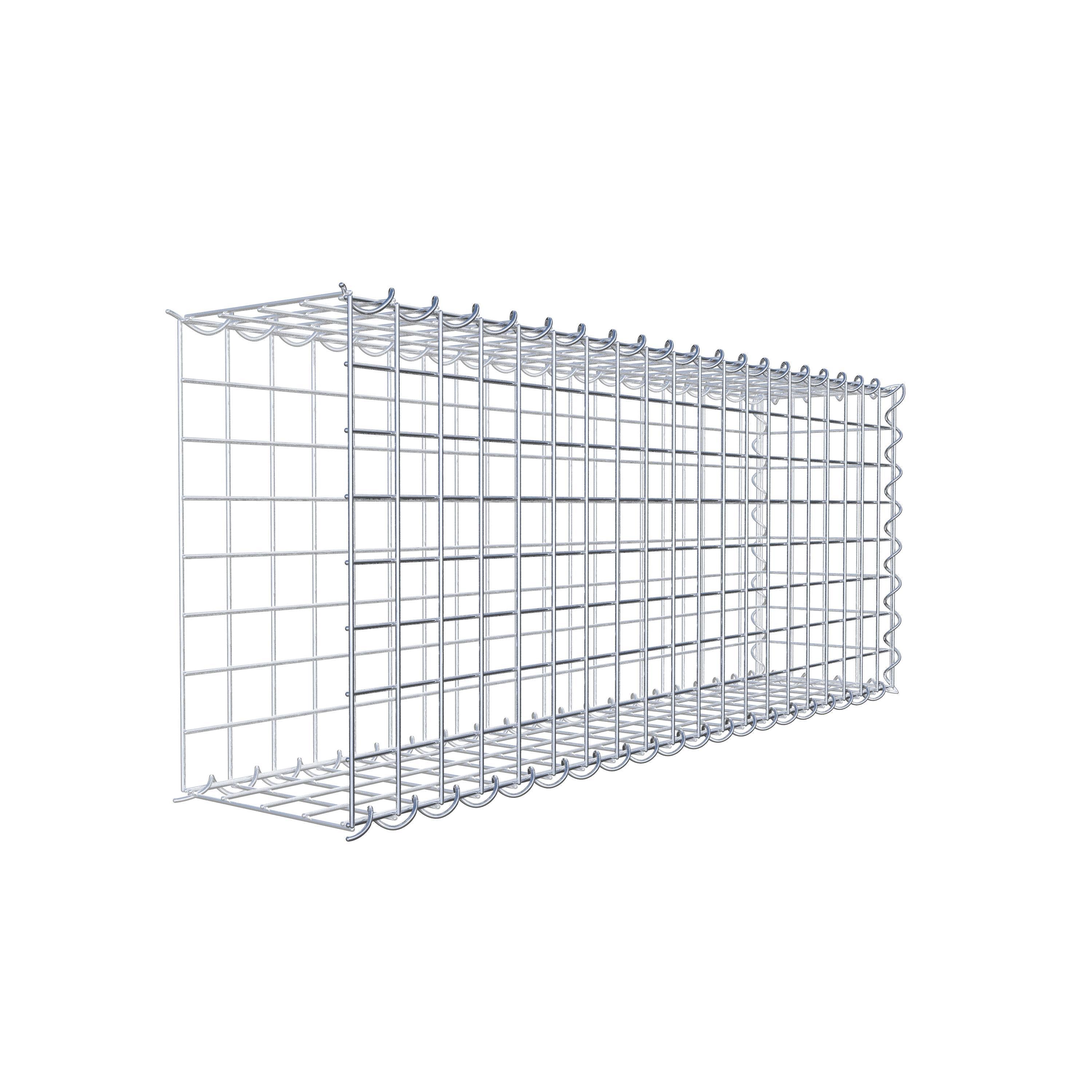 Opvokset gabion type 2 100 cm x 40 cm x 20 cm (L x H x D), maskestørrelse 5 cm x 5 cm, spiral