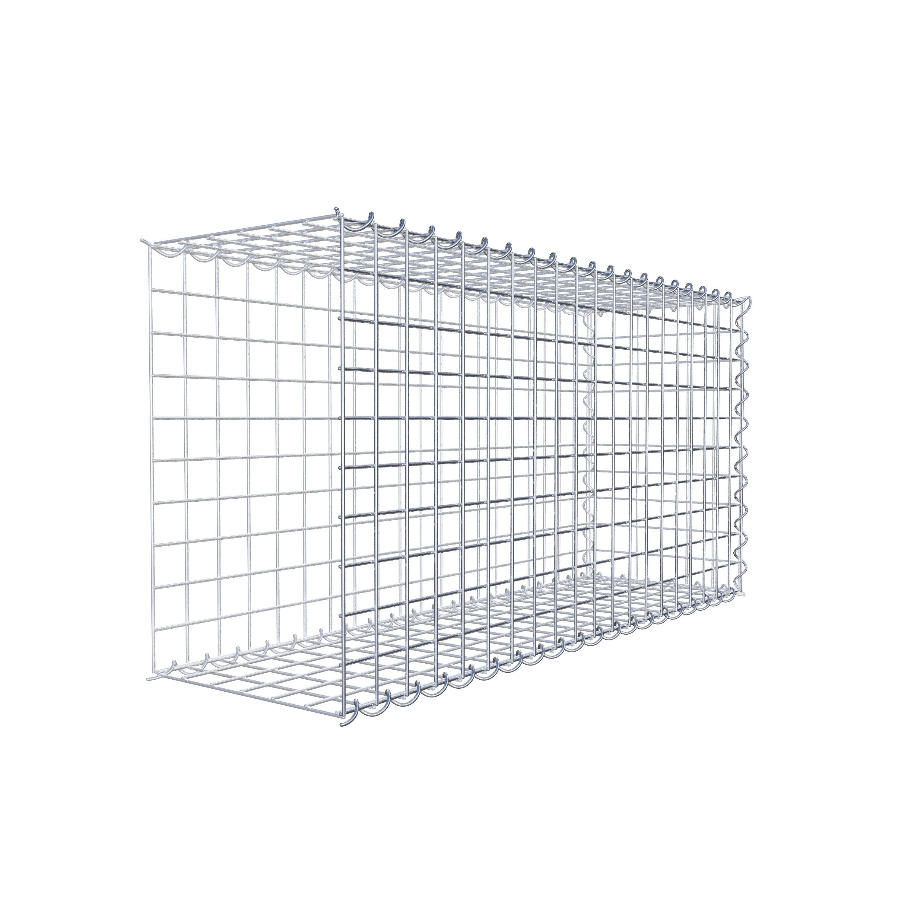 Grown-on gabion type 2 100 cm x 50 cm x 30 cm (L x H x D), mesh size 5 cm x 5 cm, spiral