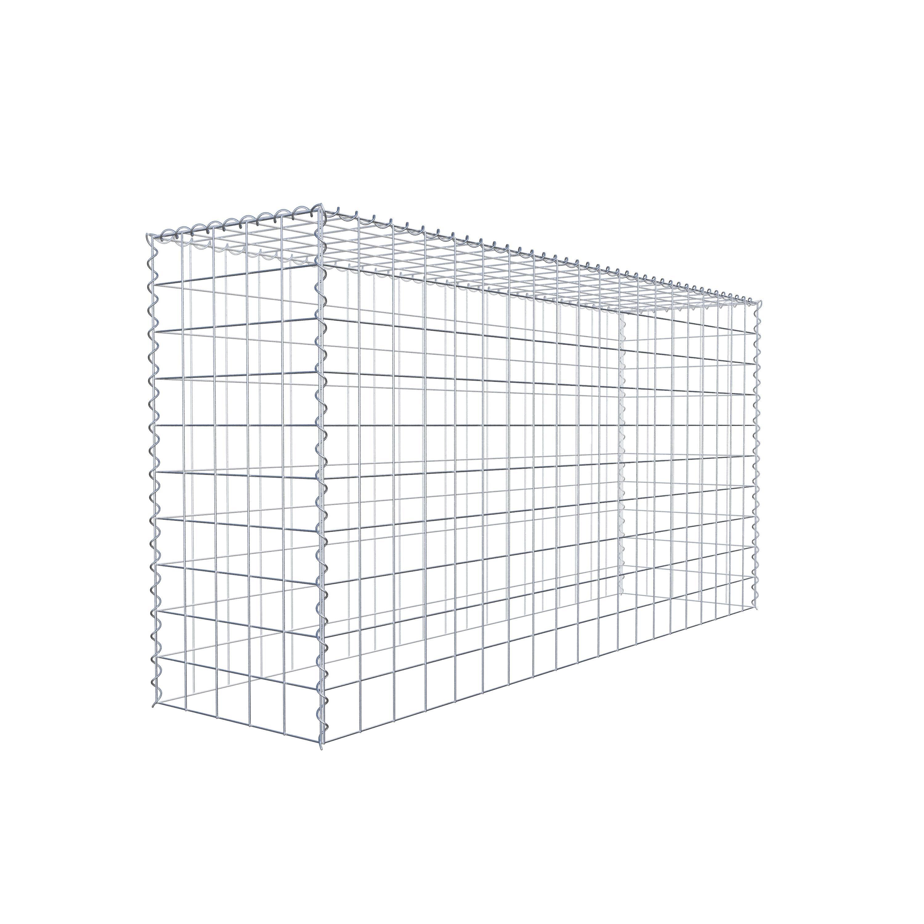 Grown-on gabion type 3 200 cm x 100 cm x 50 cm (L x H x D), mesh size 10 cm x 10 cm, spiral