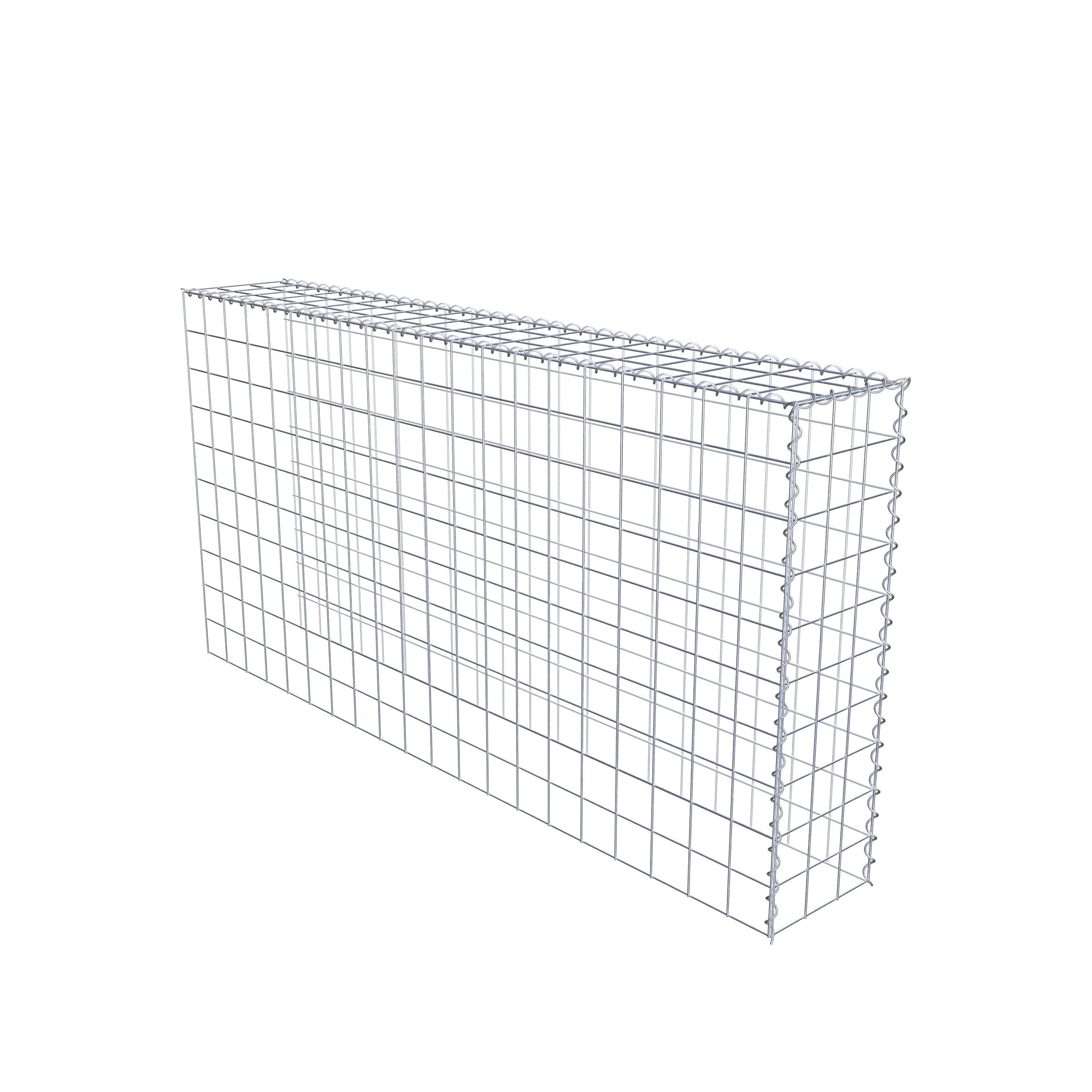 Grown-on gabion type 4 200 cm x 100 cm x 30 cm (L x H x D), mesh size 10 cm x 10 cm, spiral