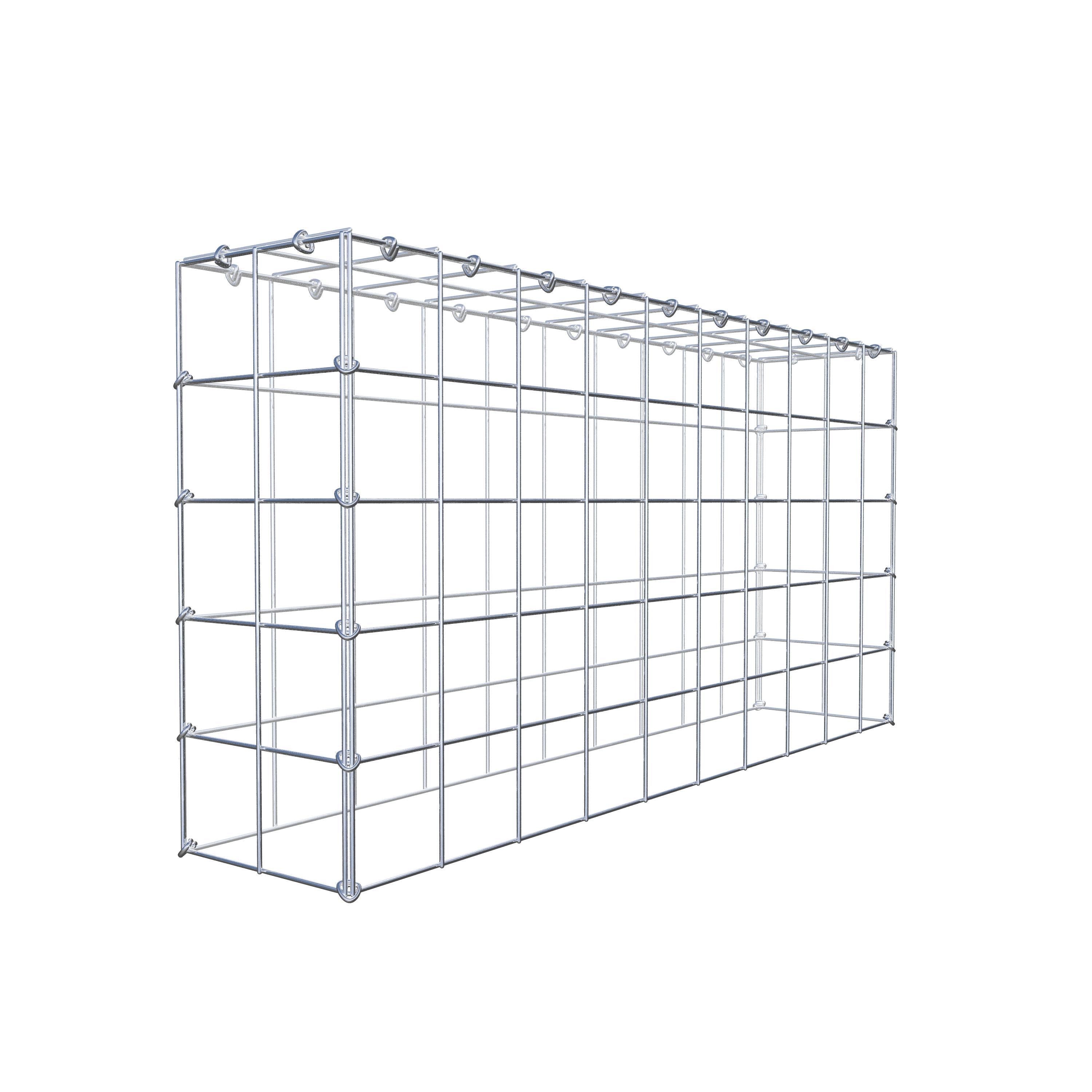 Monteret gabion type 3 100 cm x 50 cm x 20 cm (L x H x D), maskestørrelse 10 cm x 10 cm, C-ring