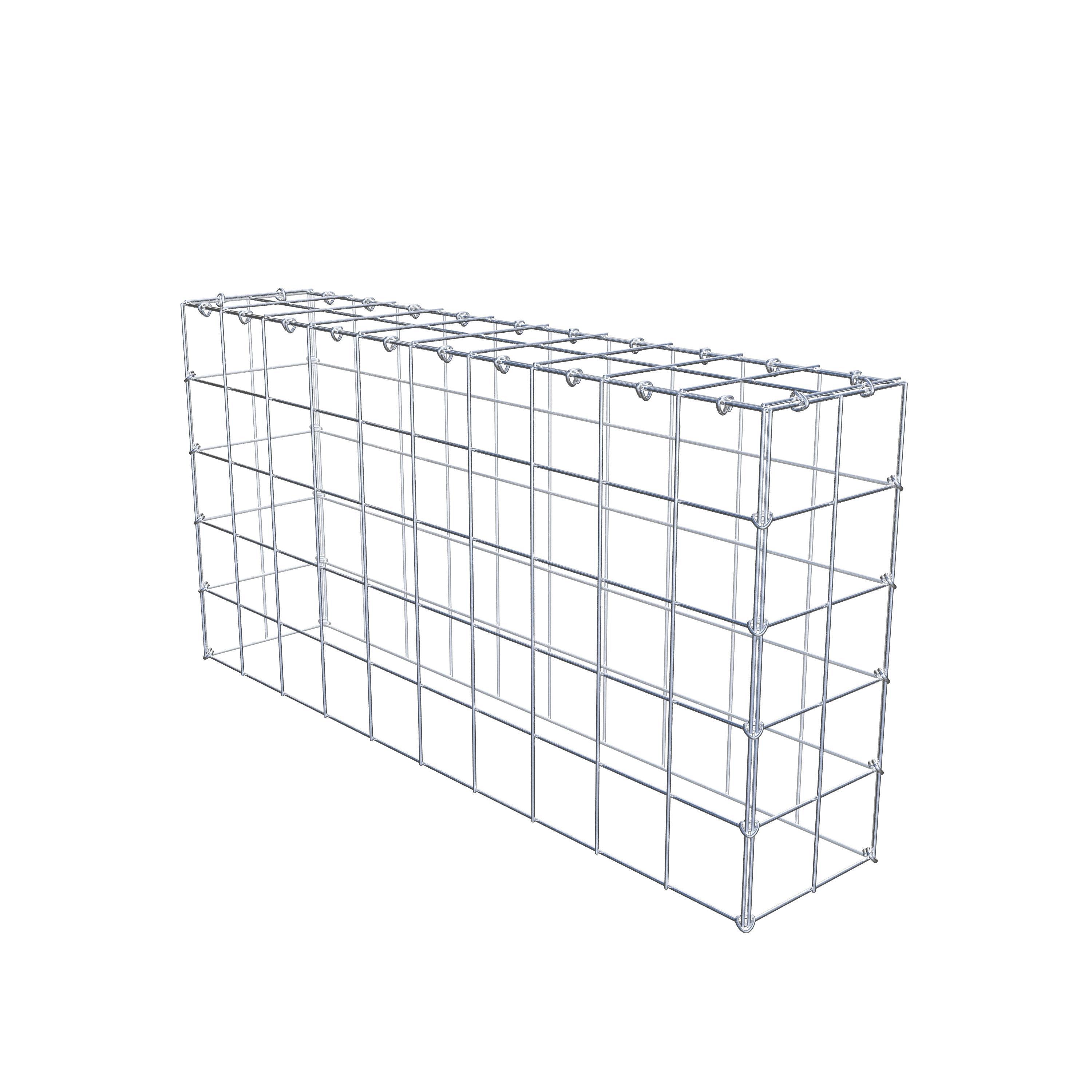 Monteret gabion type 3 100 cm x 50 cm x 20 cm (L x H x D), maskestørrelse 10 cm x 10 cm, C-ring