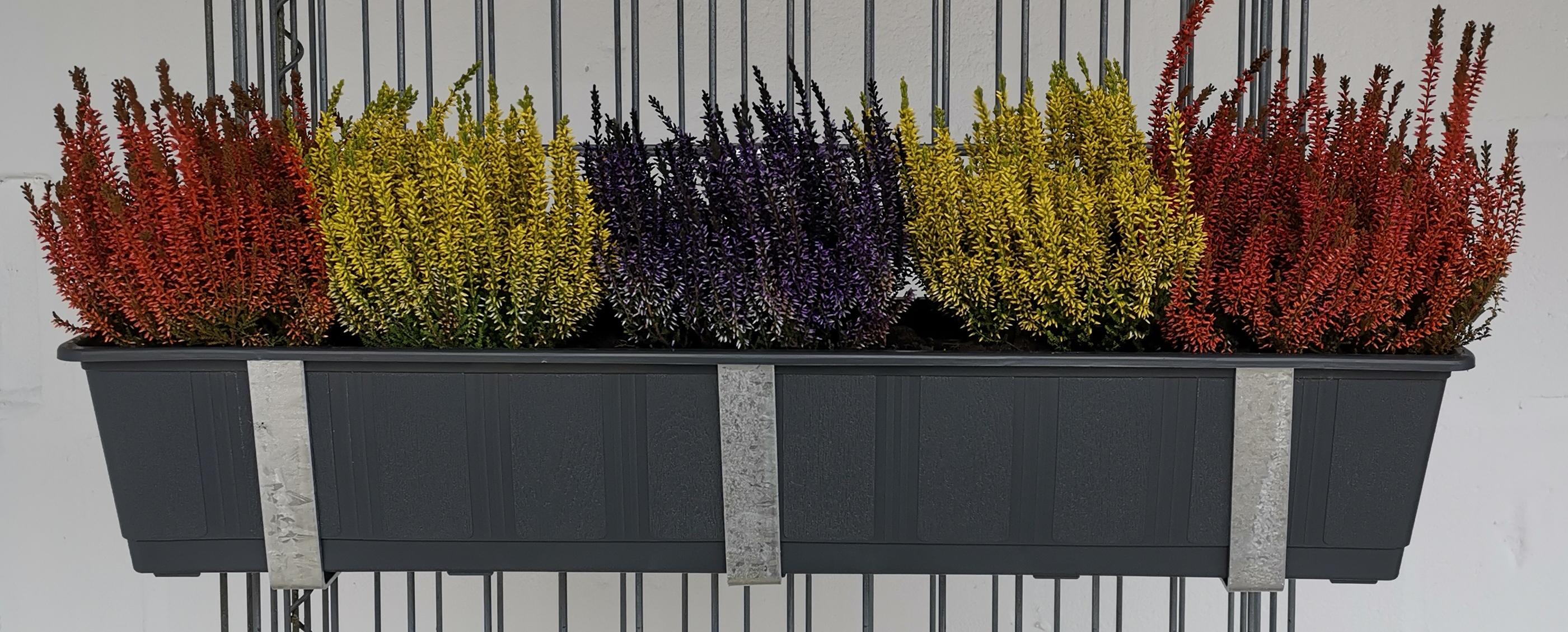 Galvaniserede blomsterkasseholdere i sæt af 3 til gabioner MW 5 x 20